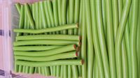 Watermelon Pipes 210pcs