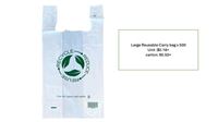 [SHOPPING3] LargeReusableCarrybagx500