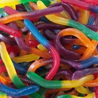 [1536N] RAINBOW GLOWORMS 2KG