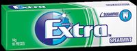Extra Plt Spearmint Reg 14gx10